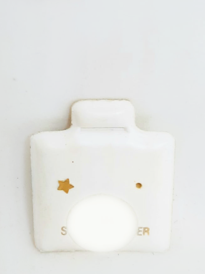 Nose Earring