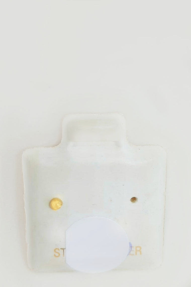 Nose Earring