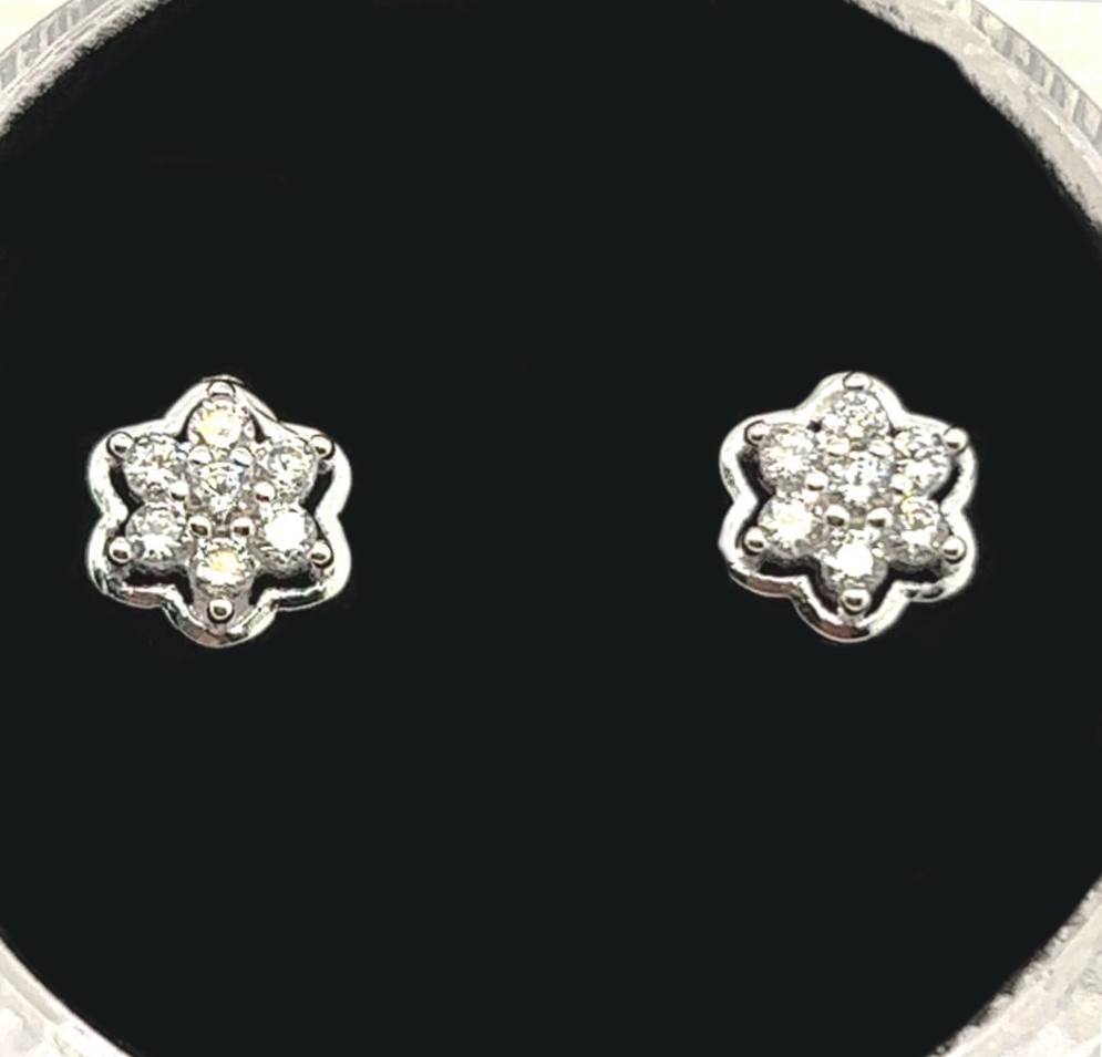 Silver Hanging Earring