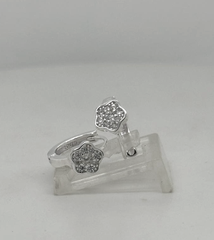 Silver Hoop