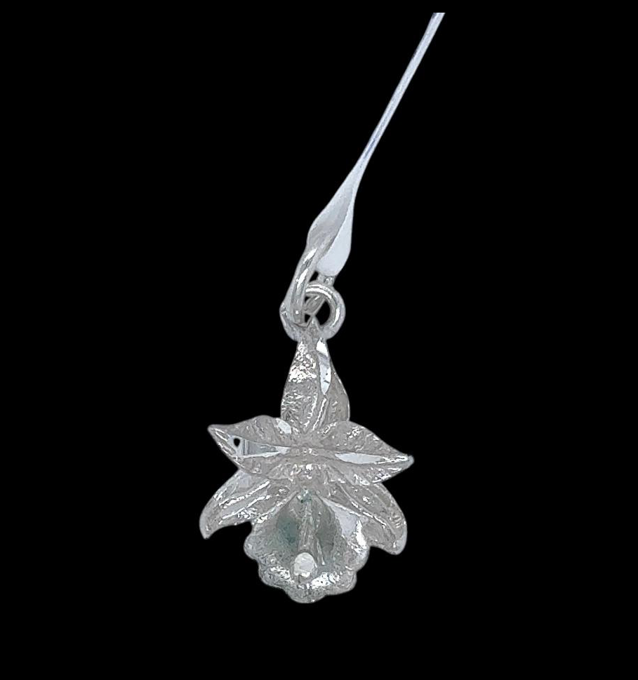 Silver Pendant