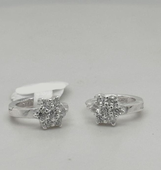 Silver Hoop